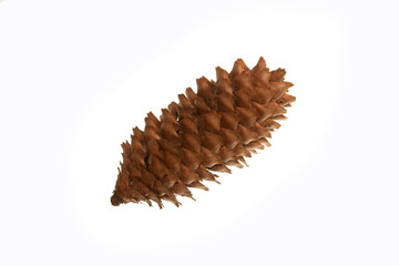 cone isolated on white background