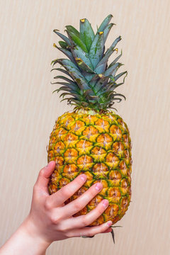 The girl holds a ripe tasty pineapple in her hands_
