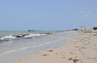 Playa, olas 
