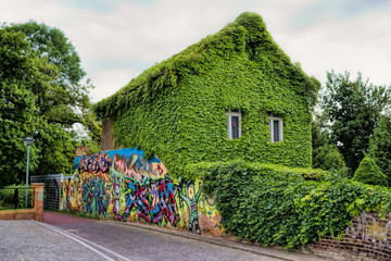 Altes Haus mit Efeu in Oranienburg, Deutschland