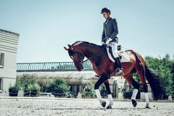 Nice handsome rider sitting on the horse