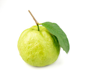 Guava (tropical fruit) on white background