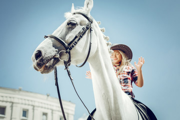 Low angle of a beautiful white horse