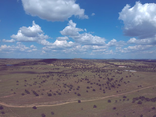 Aerial view of a farm field in Portugal