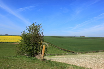 Fototapeta premium Springtime view over the scenic patchwork landscape of the Yorkshire wolds