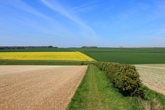 Beautiful patchwork farmland with green fields and yellow canola or rapeseed crops flowering in springtime