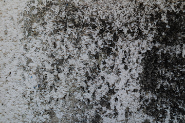Beautiful closeup textures abstract old wall background and cement floor