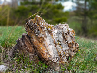 Fototapeta na wymiar Large stone surrounded with grass in the forest near Skopje.