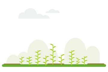 plant agriculture flat cartoon background with sky and cloud