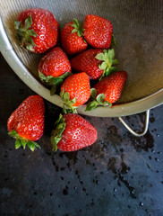 Fresh strawberries in a large metal sieve. with water splash and drops on a dark background.