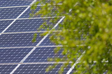 solar panels closeup, green tree branches in defocus, renewable energy of the sun