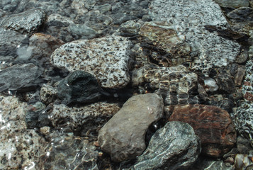 close up of water flowing in a stream and rocks