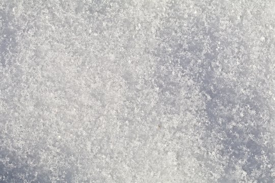 Snow Crystals Closeup
