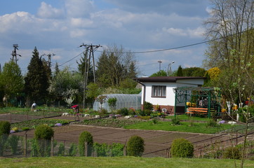 foto Sobieniak