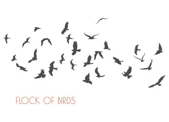 figures flock of flying birds on white background