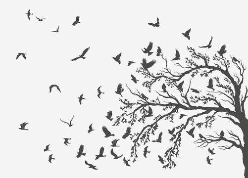 figures flock of flying birds on tree
