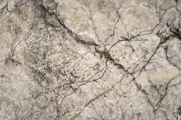stone texture background. Detail of stone texture for background