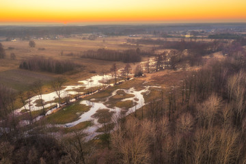 sunset over the forest