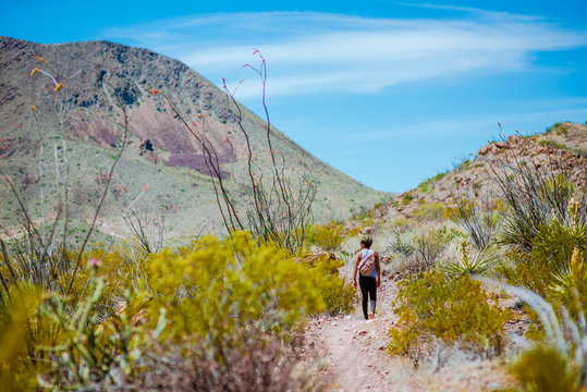 Hiking