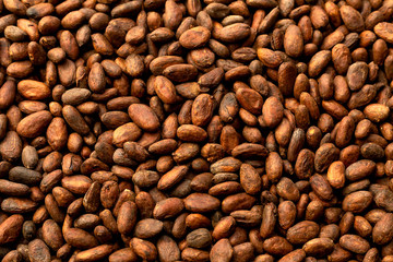 Aromatic cocoa beans as background, Cocoa Beans and Cocoa Fruits on wooden.