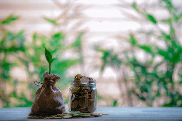 Planting coins in hemp bags - investment ideas for growth