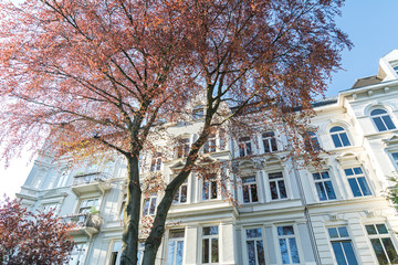 Weiße Fassade von schönem Altbau Mehrfamilienhaus - obrazy, fototapety, plakaty