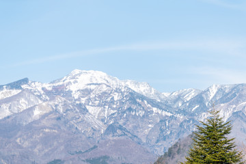 Fototapeta na wymiar View on snowy mountain and pine tree in Nikko, Tochigi prefecture in Japan with blue sky in spring