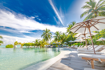 Luxury swimming pool in the tropical hotel or resort. Palm trees and infinity pool close to lounge chairs and umbrellas. Exotic travel destination, summer mood, beach holiday - Powered by Adobe