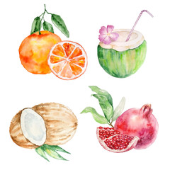 watercolor tropical fruits