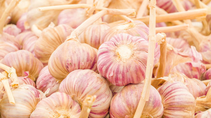 20090_A_closer_look_of_the_white_garlic_on_the_basket42.jpg