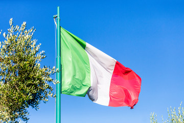 Naklejka na ściany i meble Flag of Italy and olive tree