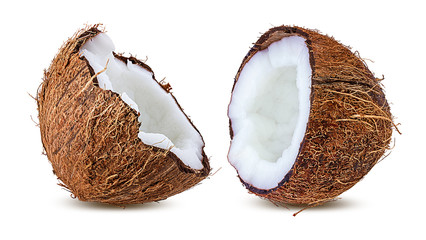 coconuts isolated on the white background