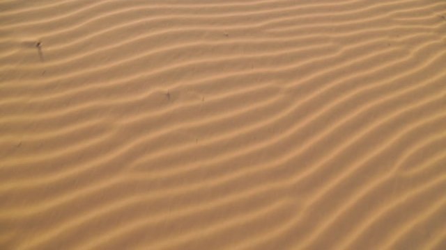 Extreme close-up high-angle front moving shot of beautiful beach sand ripples at the coast, Qld Island, Australia