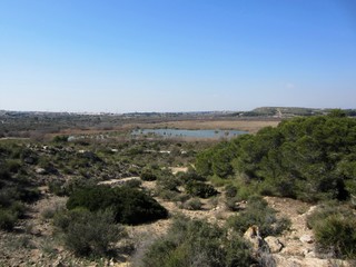 Clot de Galvany marshland Alicante Spain