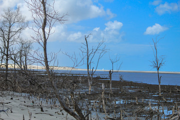Fototapeta na wymiar Praia de Mangue Seco