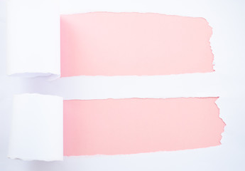 Torn white paper isolated on pastel pink