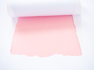 Torn white paper isolated on pastel pink