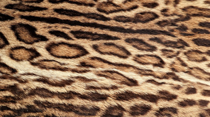 Leopard fur texture, real fur