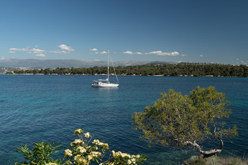 voiliers près de crique sur l' île de Saint Honorat