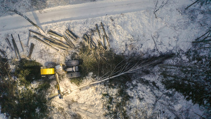 22805_The_aerial_view_of_the_log_harvester_on_the_forest81.jpg