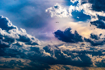 Naklejka premium sky