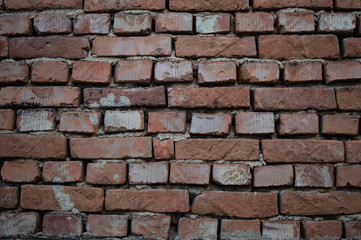 Brick wall background. Texture.