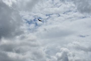 Sobrevuelo