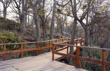 Fototapeta na wymiar Wooden walkway at a view point of Lapataia bay, in Tierra del Fuego national park, in a winter cloudy day, surrounded by leafless trees in autumn colors with soft light