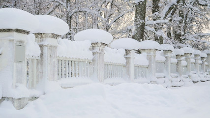 8006_Snow_continuous_to_fall_in_a_winter_season-27.jpg