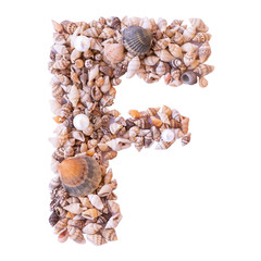 Obraz premium Letter F made of tiny seashells. Isolated.
