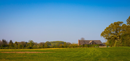 Wild meadow at Alderford Lake in North Shropshire in spring