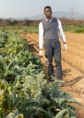 Male with hoe next to artichoke plants