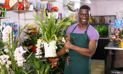 Flower shop owner offering potted plants