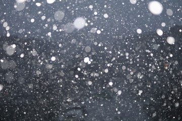 snow storm, snow, storm, hurricane, thunderstorm, blizzard, cyclone, tempest, weatherweather, weather, typhoon, squall, windstorm, cloudburst, ice storm